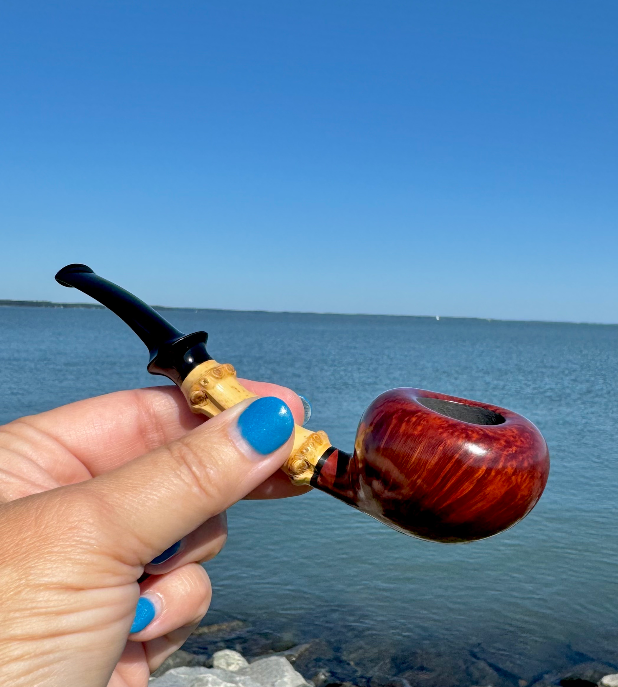 Black Cat 🇻🇳: Tomato with Bamboo