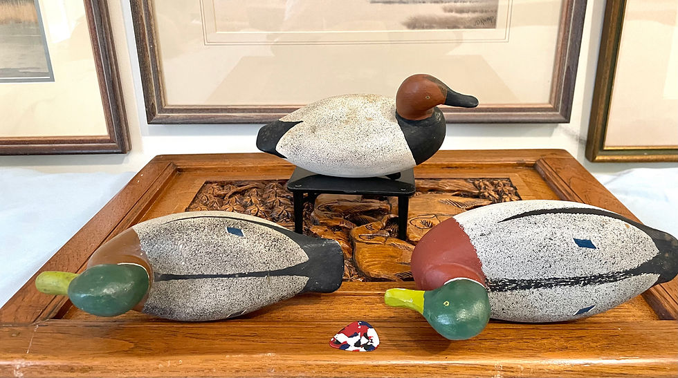Thumbnail: Holton Legg 2 Mini Mallards and 1 Mini Canvasback decoys