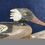Thumbnail: SOLD Red Breasted Merganser by Doug Jester ca. 1950