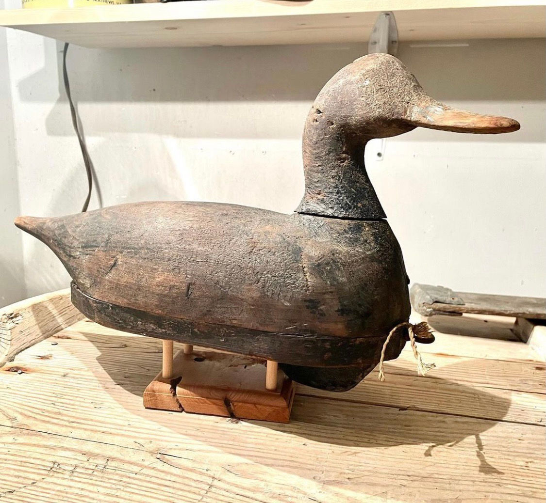 ESVA Pintail Decoy