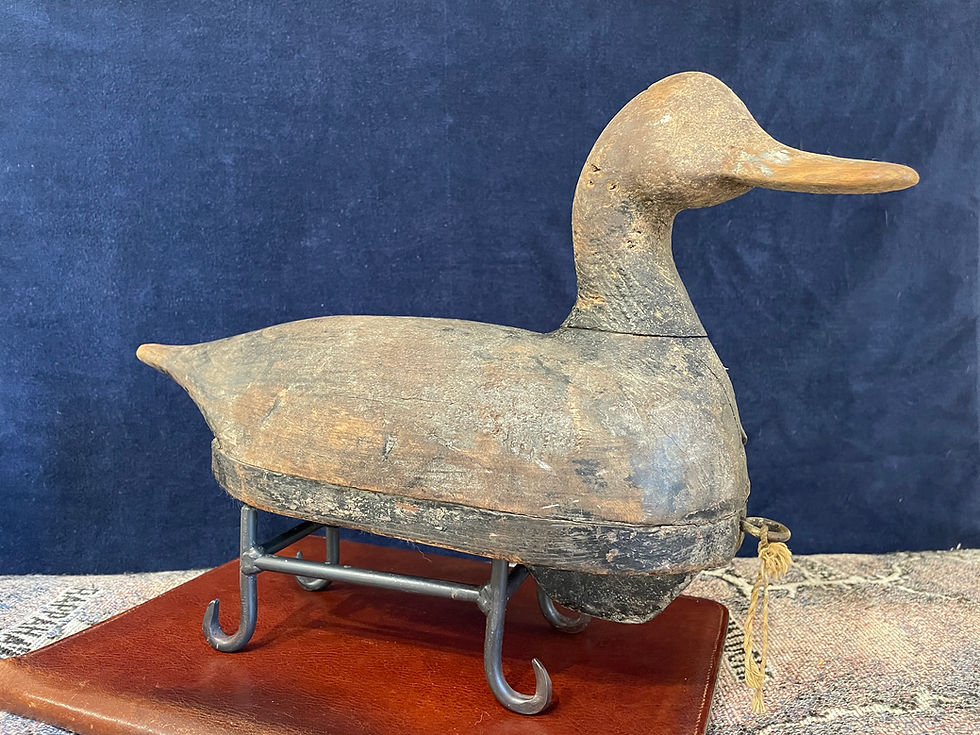 Thumbnail: Very early Pintail with Super Form