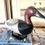 Thumbnail: Ed Parsons Canvasback in Elliott Brothers paint