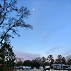 Evening in January