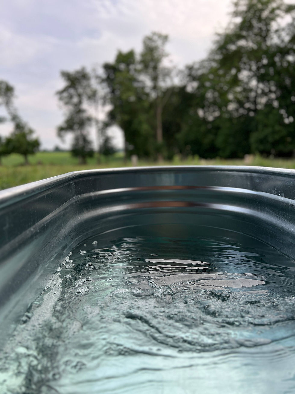 le bain nordique