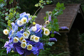 IMG_0072.jpeg