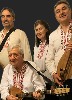 bulgarika_edited.png