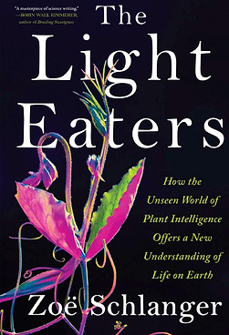 light eaters.jpeg