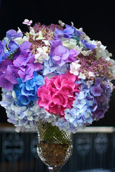 IMG_0813 2.jpeg