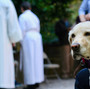 IMG_5439.jpeg