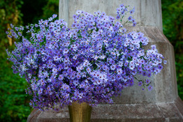 IMG_1092.jpeg