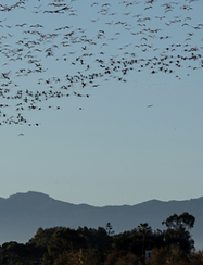 Screenshot 2026-04-20 at 10.24.02 PM.png