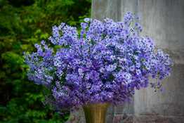 IMG_1110.jpeg