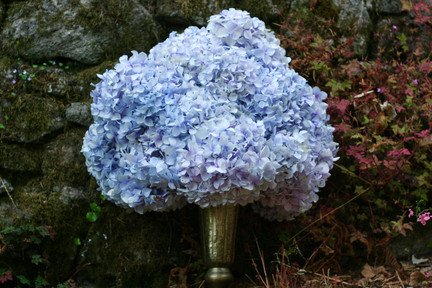 IMG_0676.jpeg