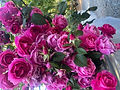 IMG_2055_edited.jpg