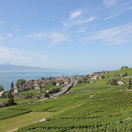 A Taste of Switzerland