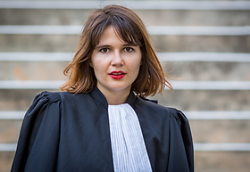 avocat carcasssonne maitre marchand