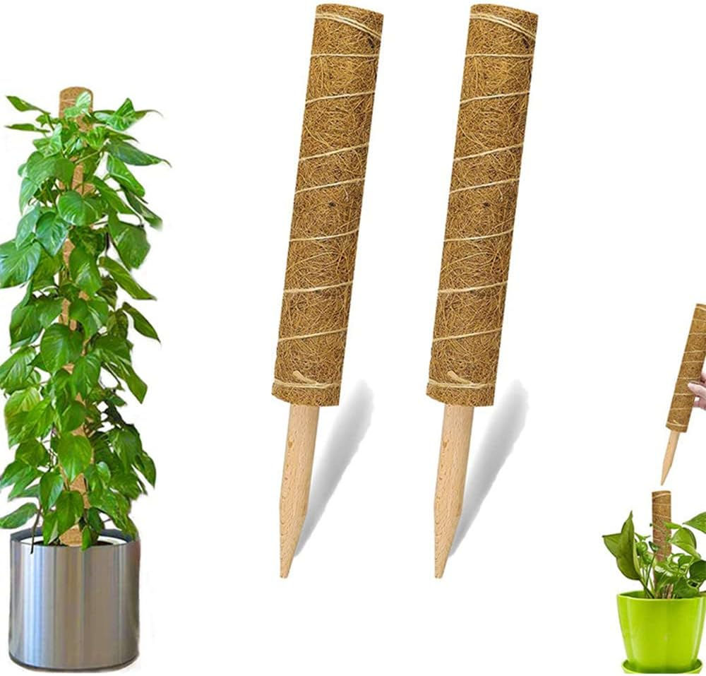植物支柱 園芸支柱 2本セット