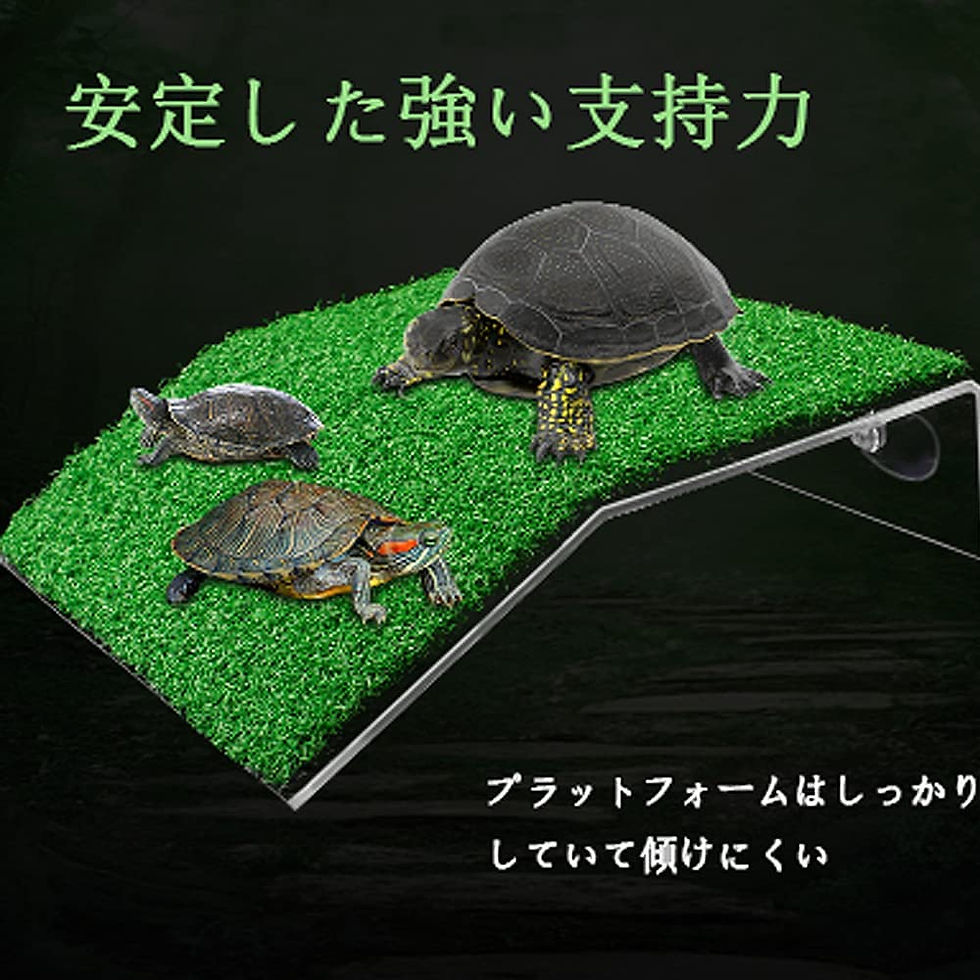 サムネイル： 爬虫類 亀 浮き島