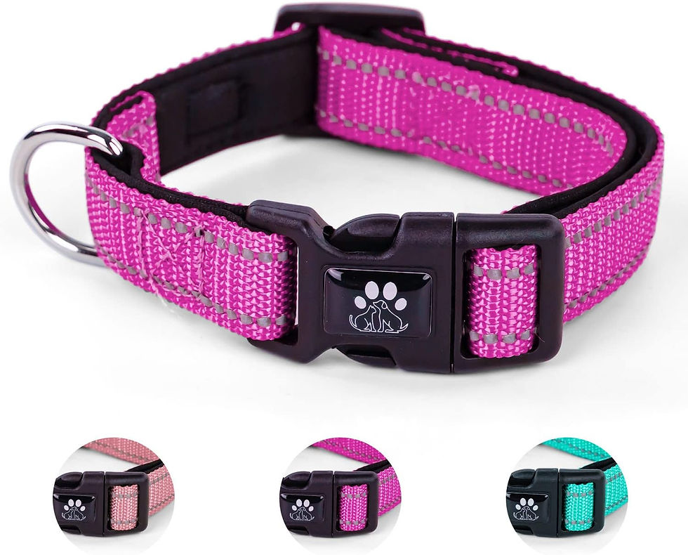 犬首輪 調節可能 夜間反射 小型犬(ローズレッド,XS)