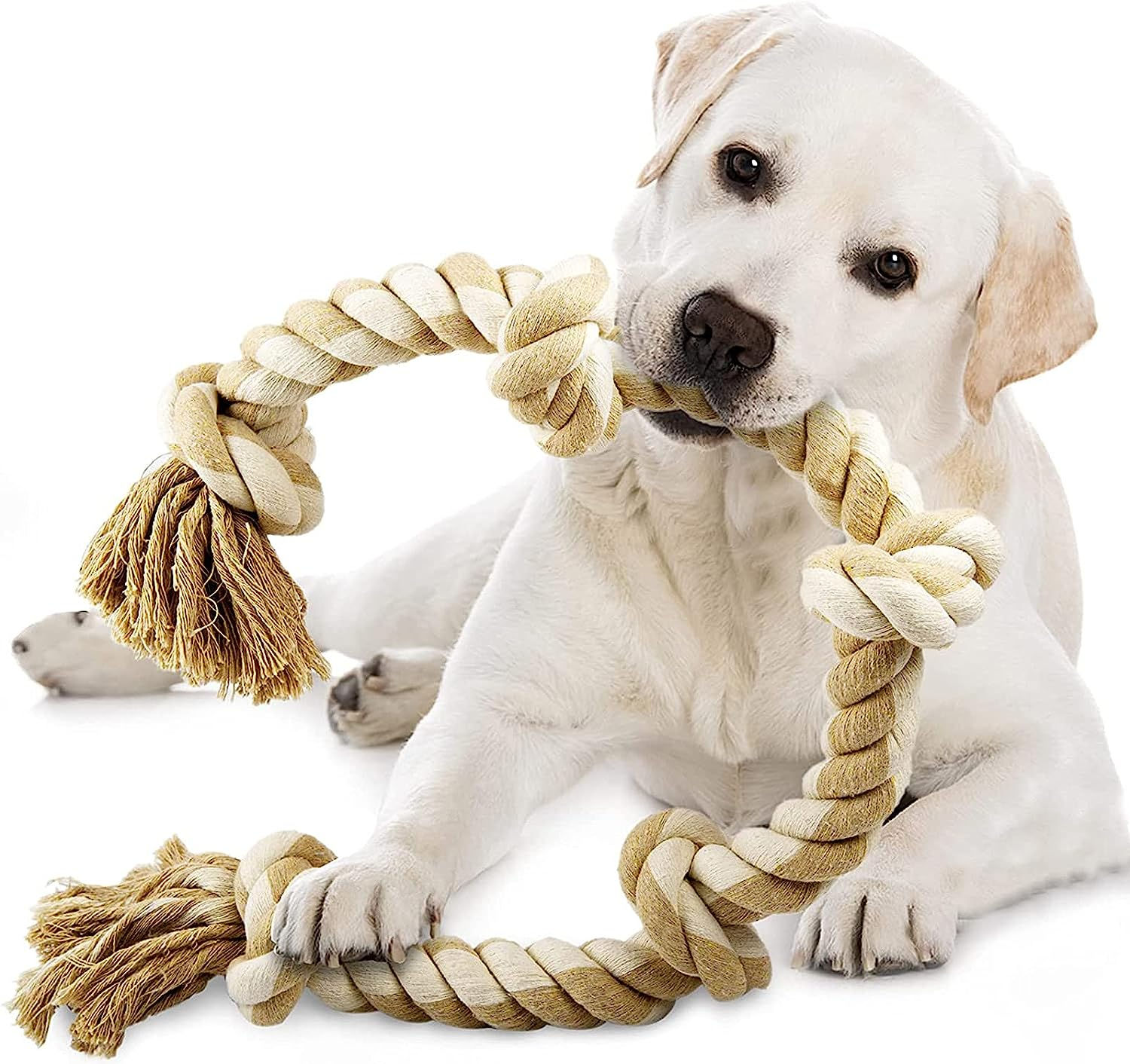 犬 おもちゃ ロープ 噛むおもちゃ 歯磨き
