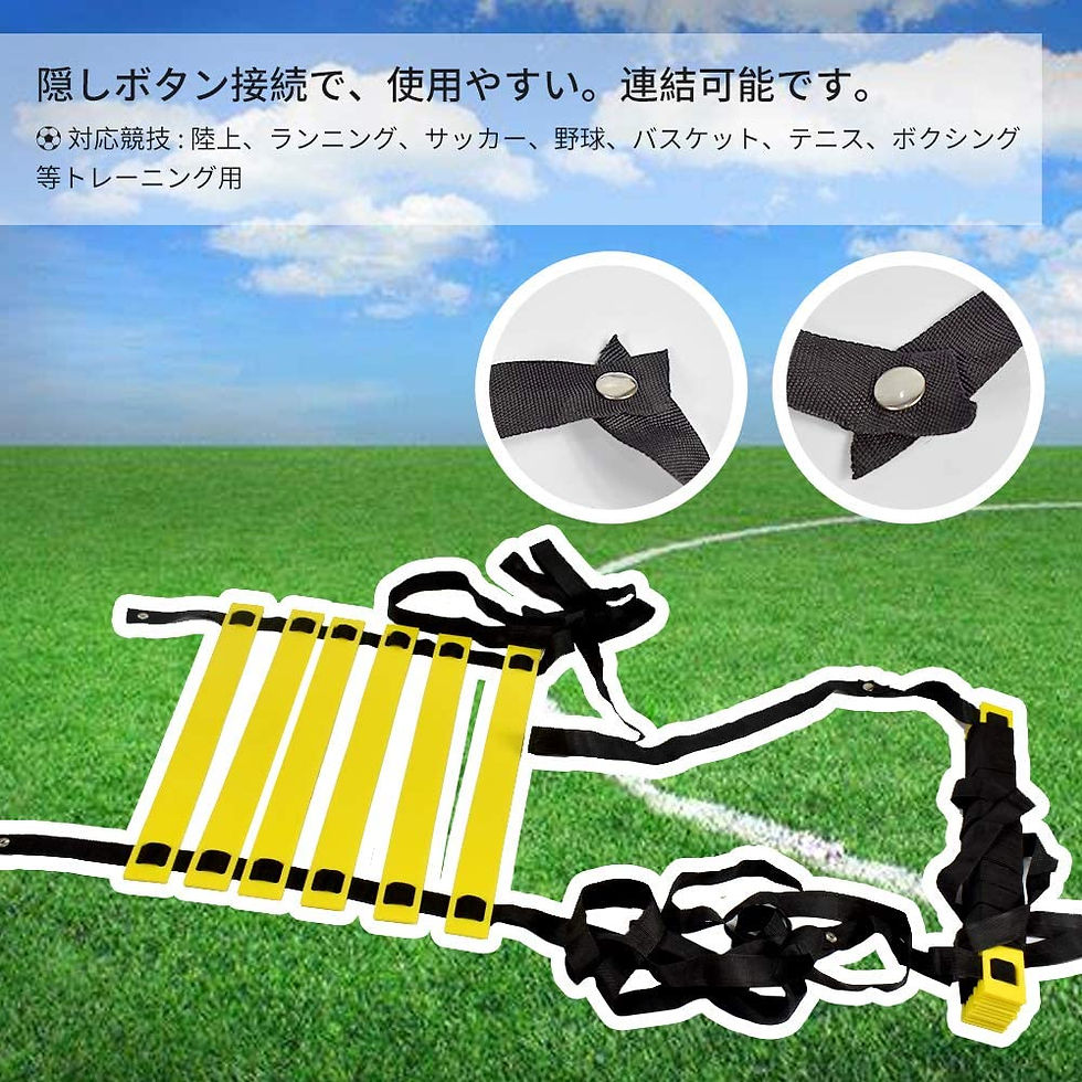 サムネイル： トレーニングラダー   3m 6プレート