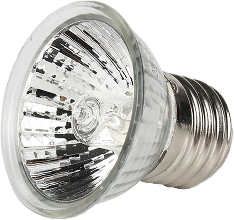 ペット爬虫類ヒートライト