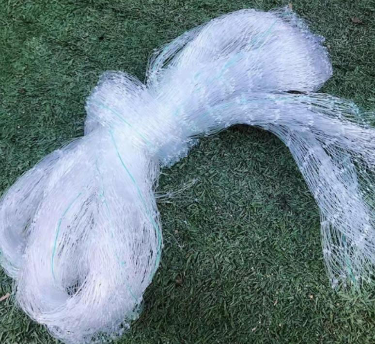 防鳥網 ベランダ(幅2m×縦6m)