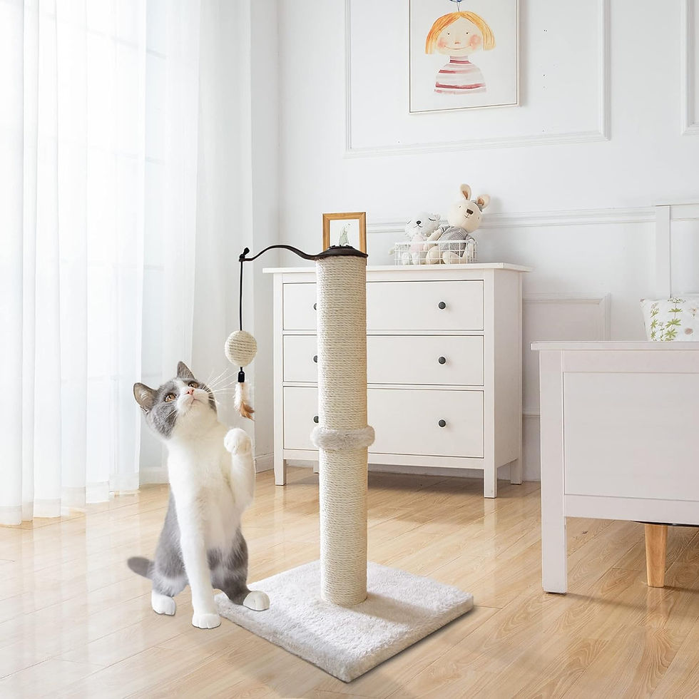 サムネイル： 猫 爪とぎ(55cm 薄ベージュ)