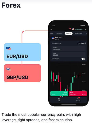 Trade the most popular currency pairs with high leverage and fast execution