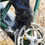 サムネイル： TMRES 01 WINTER