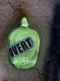 3 - RAD Col - Intrinsic Phocus.jpg