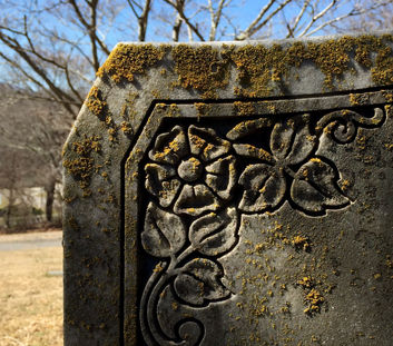 3 - AVL Col - Intrinsic Phocus.JPG