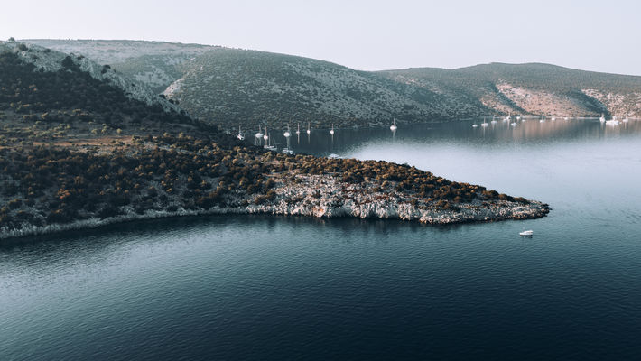 Bay with many sailing boats at sunrise