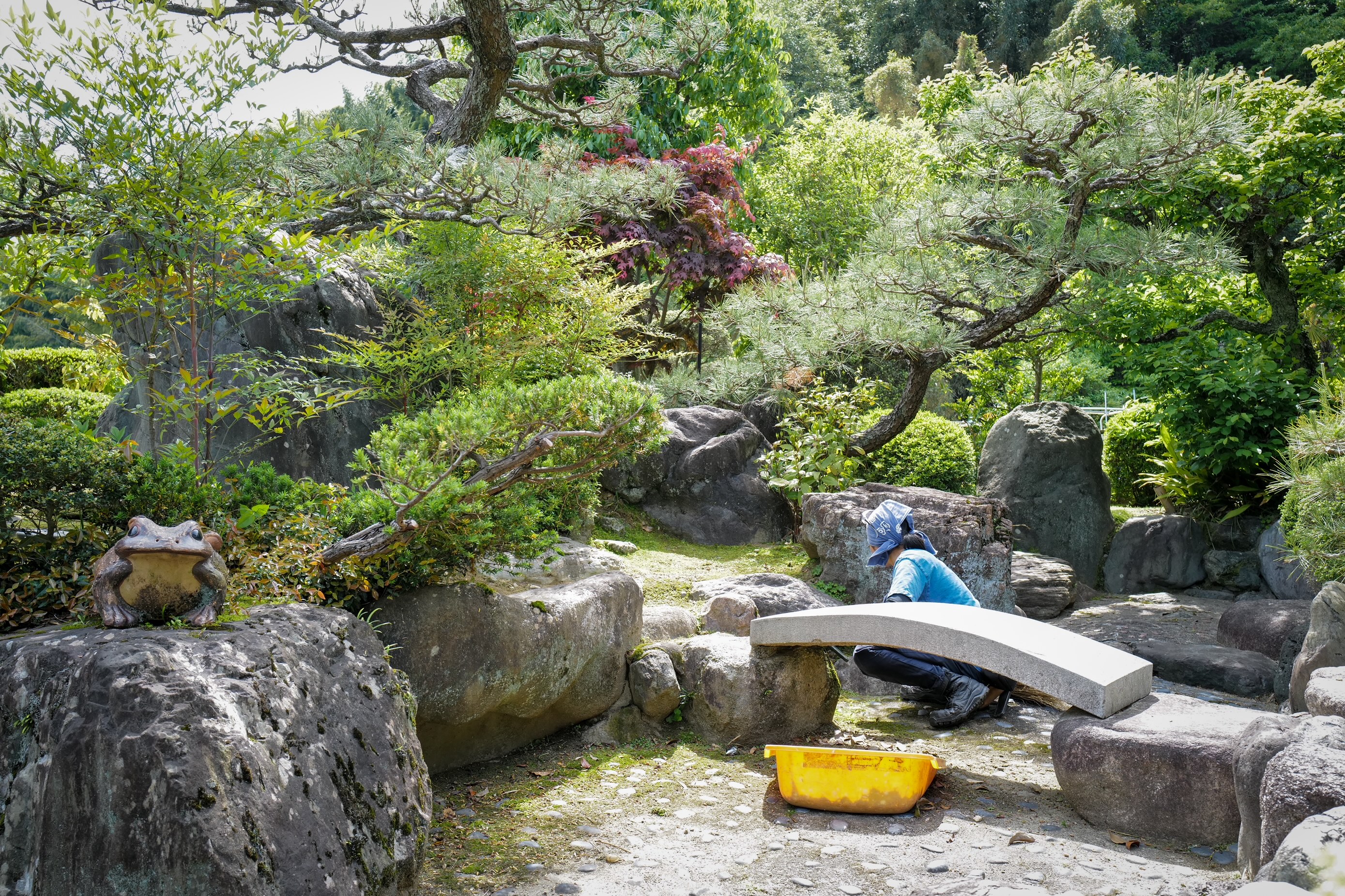 和庭 石組み 松 春の手入れ 剪定屋空