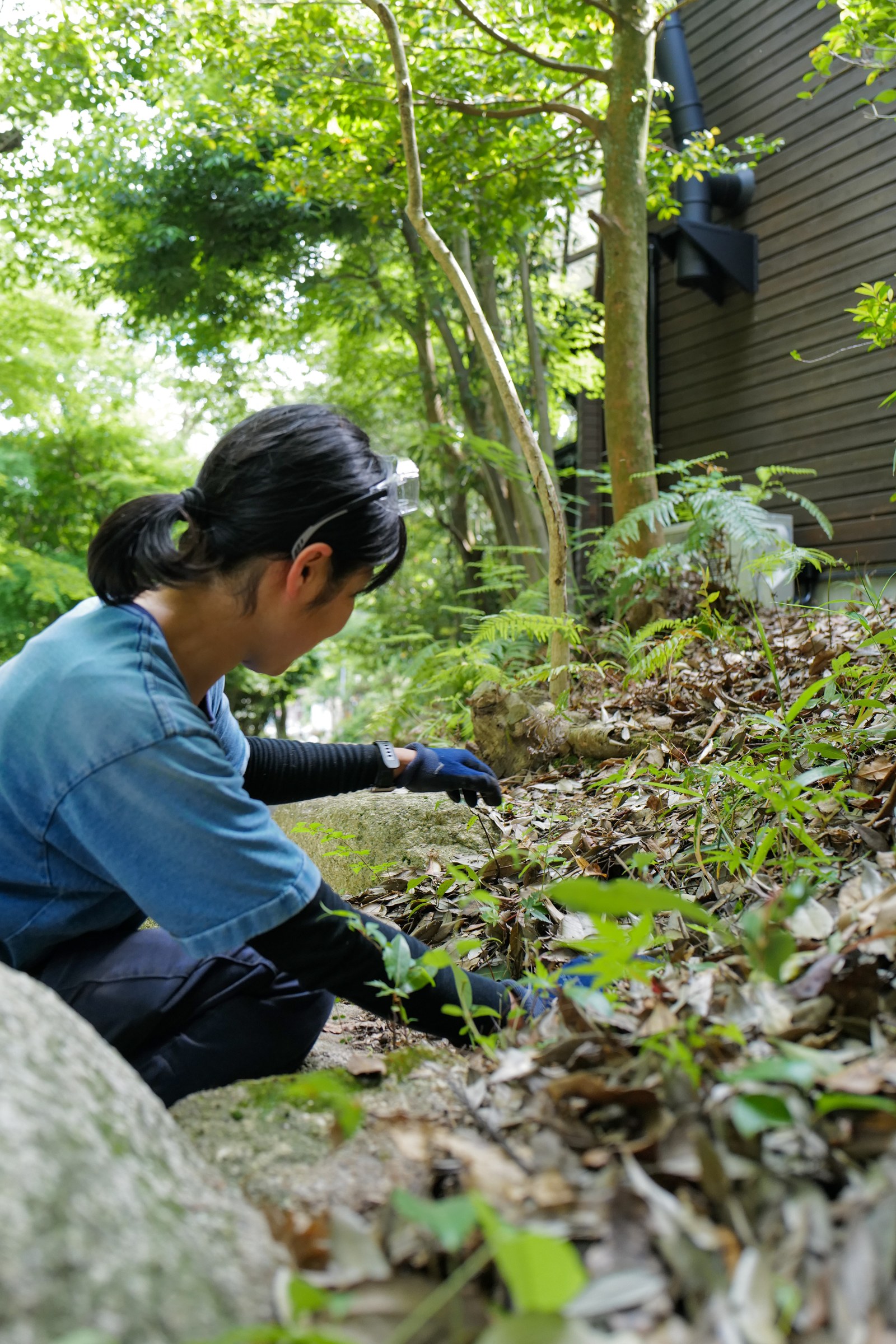 薬剤を使わず手取りで除草する様子 三重県菰野町の雑木の庭