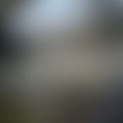 松は千歳を契り、竹は万歳を契る