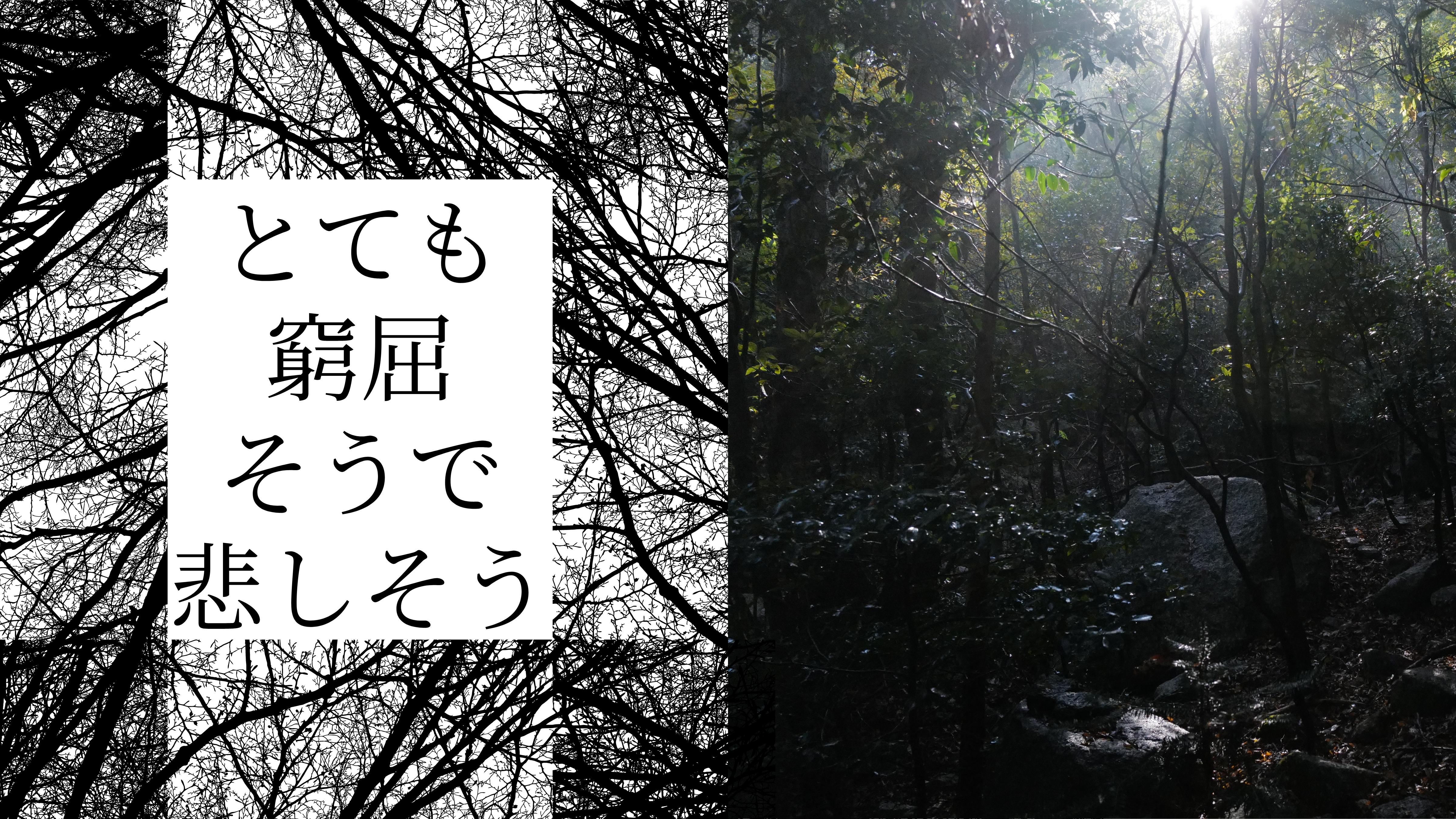 Overcrowded and struggling forest in need of management — Sentei-ya Sora, Mie
