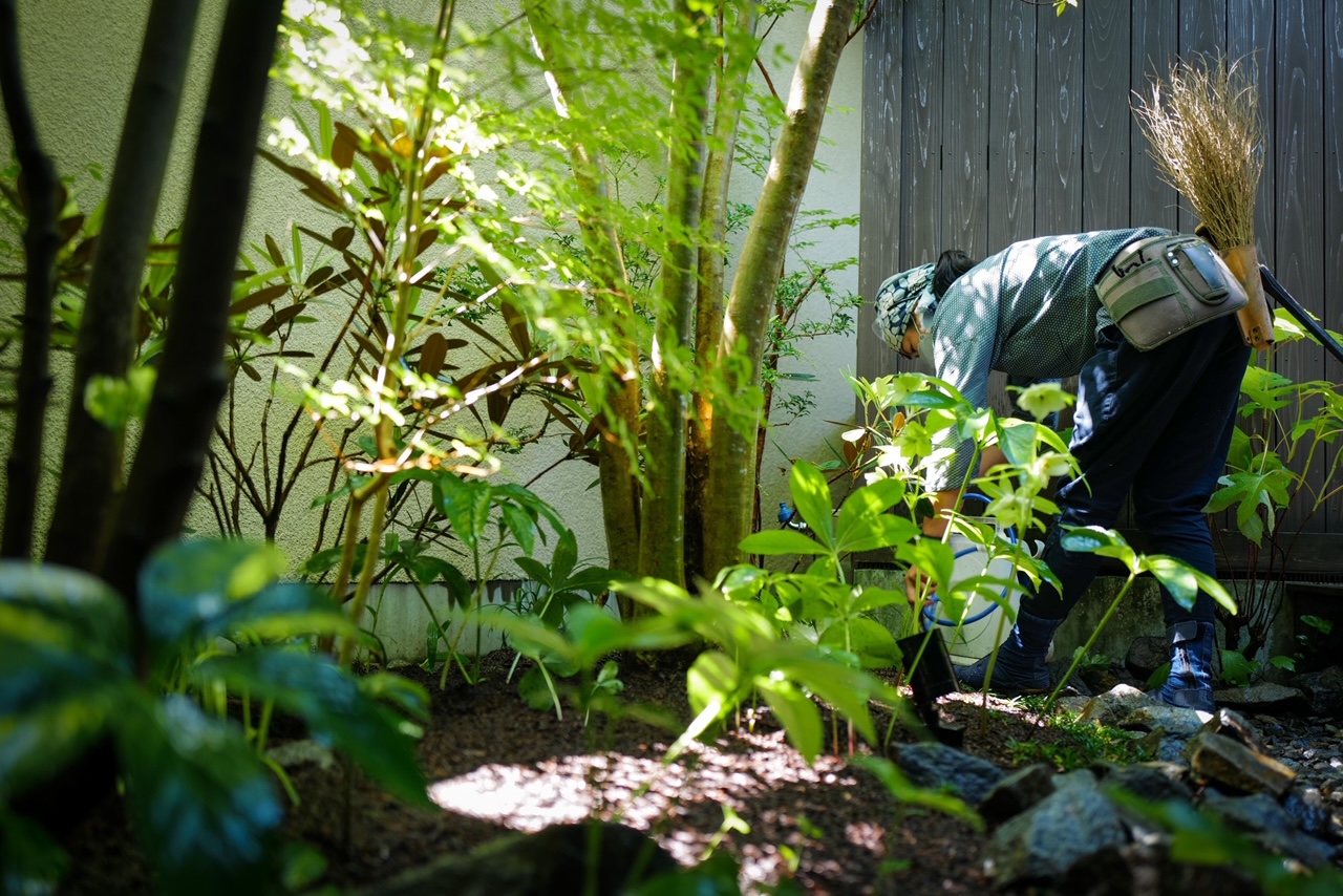 Cutting down a garden tree makes you unhappy.