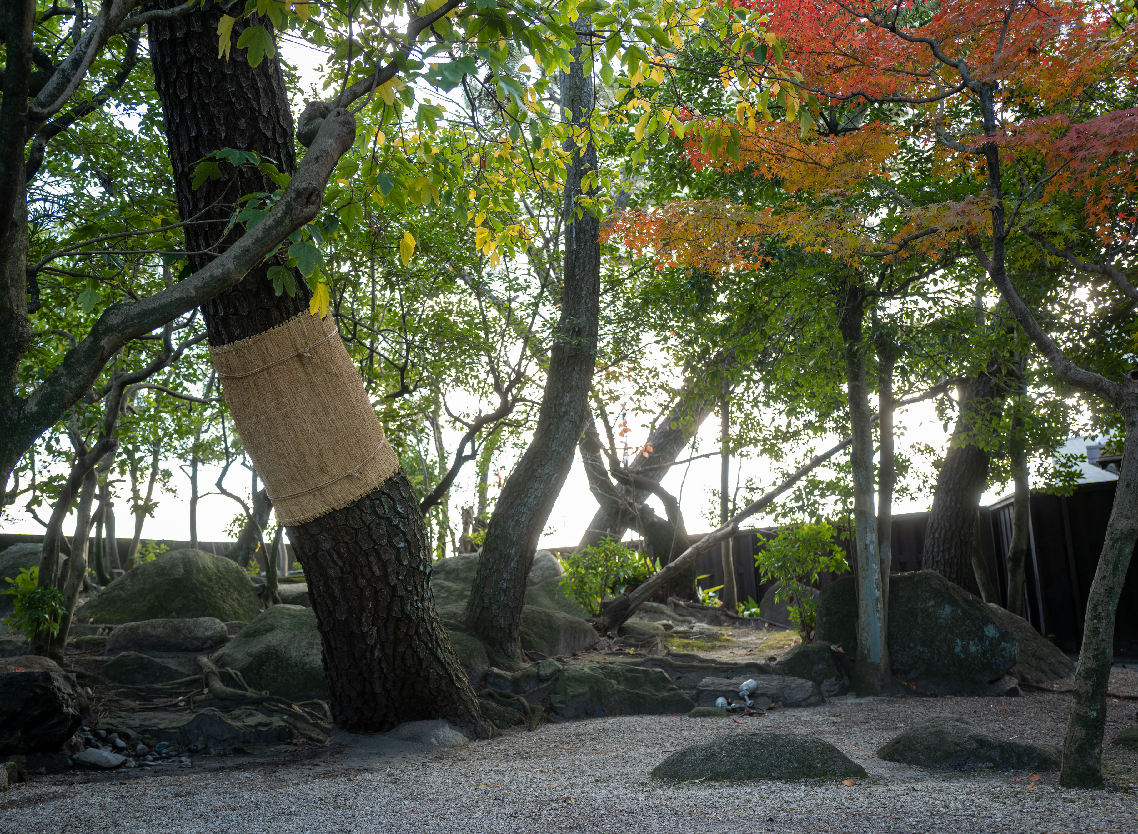 Japanese Gardens