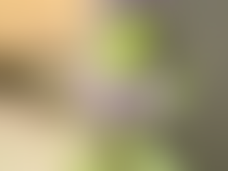 海の生き物に似てるからじゃない!ウツボグサ