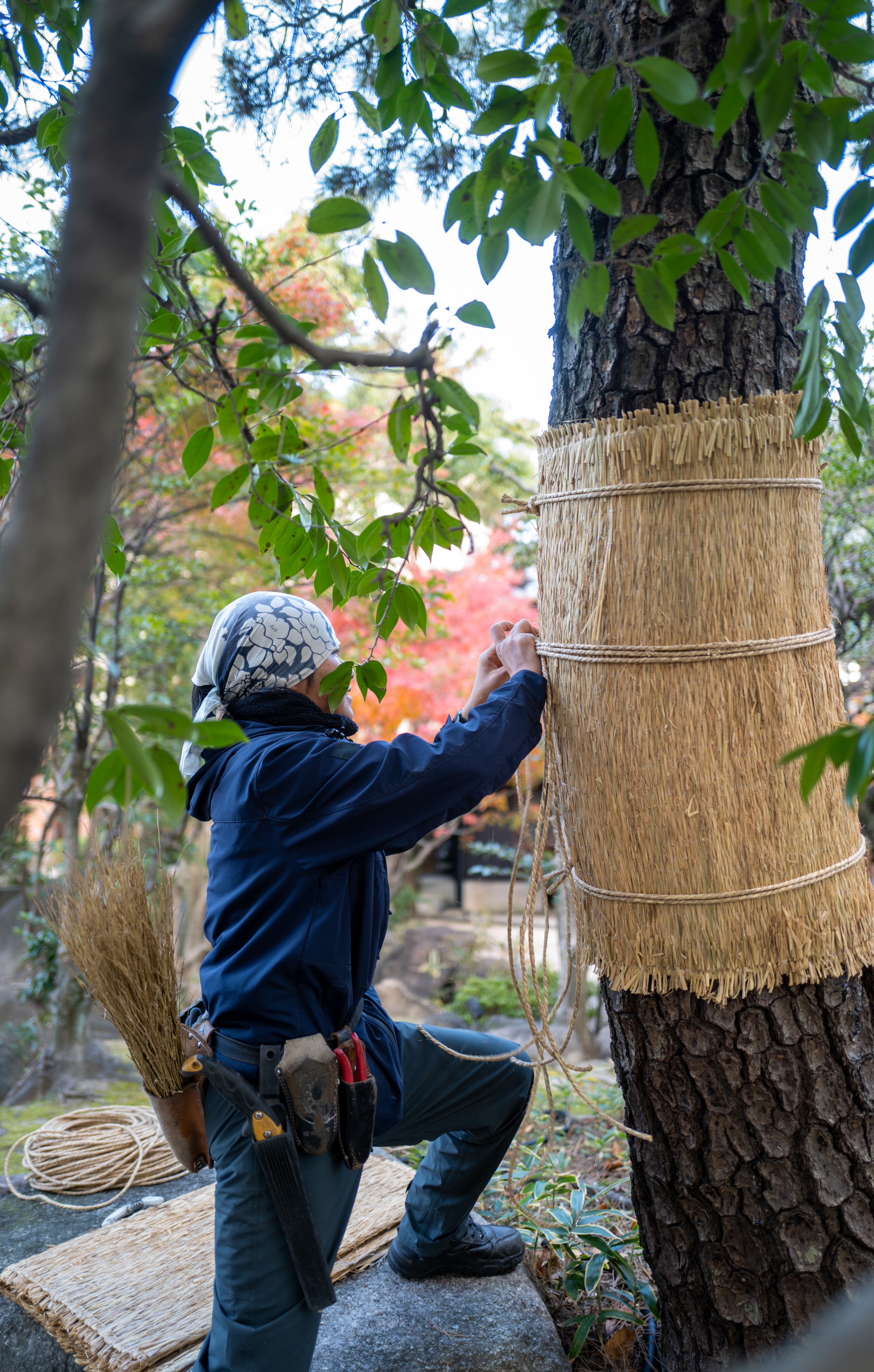 The World of Komo-Maki, the Fruition of Traditional Beauty and Wisdom in Japanese Gardens