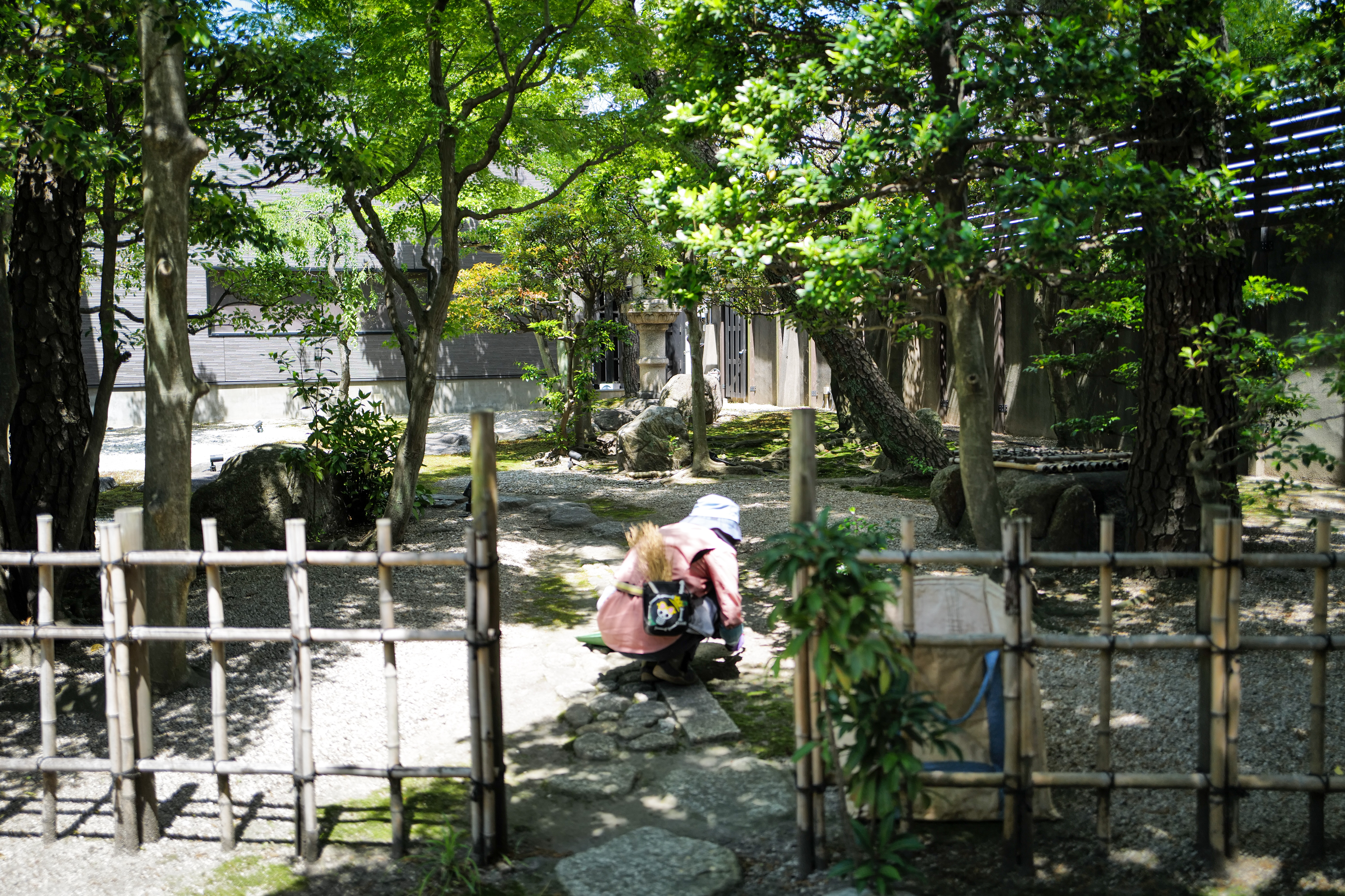 竹垣沿いでの手除草作業