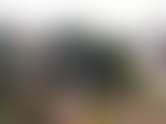 隣地との越境に配慮した樹木伐採・枝打ち|三重県いなべ市大安町での施工事例