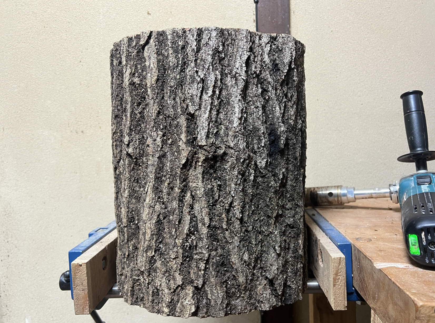 Design layout for hollowed oak log nest box — entrance hole position and interior dimensions