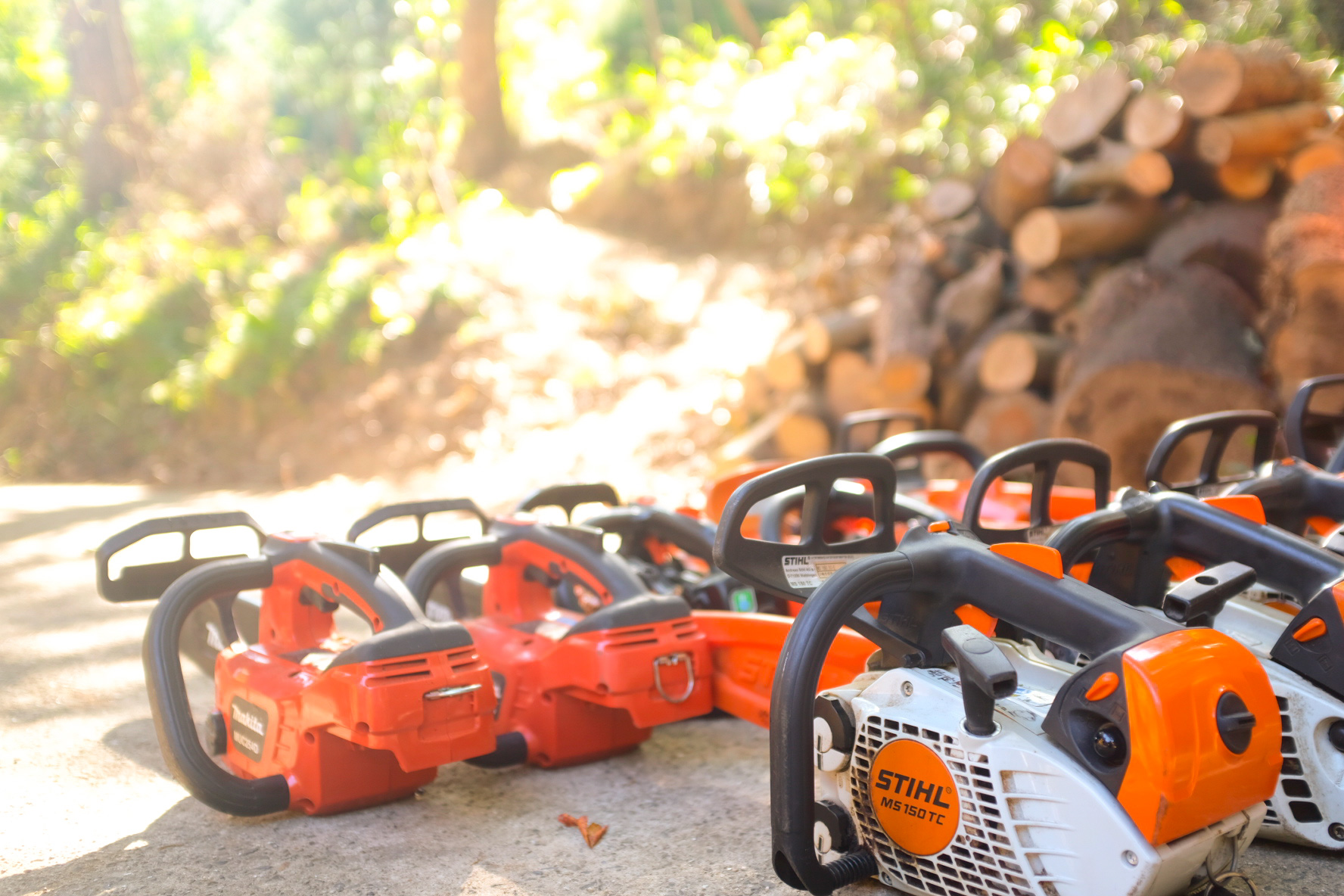 Professional tree care and safe tree felling — Sentei-ya Sora, Mie