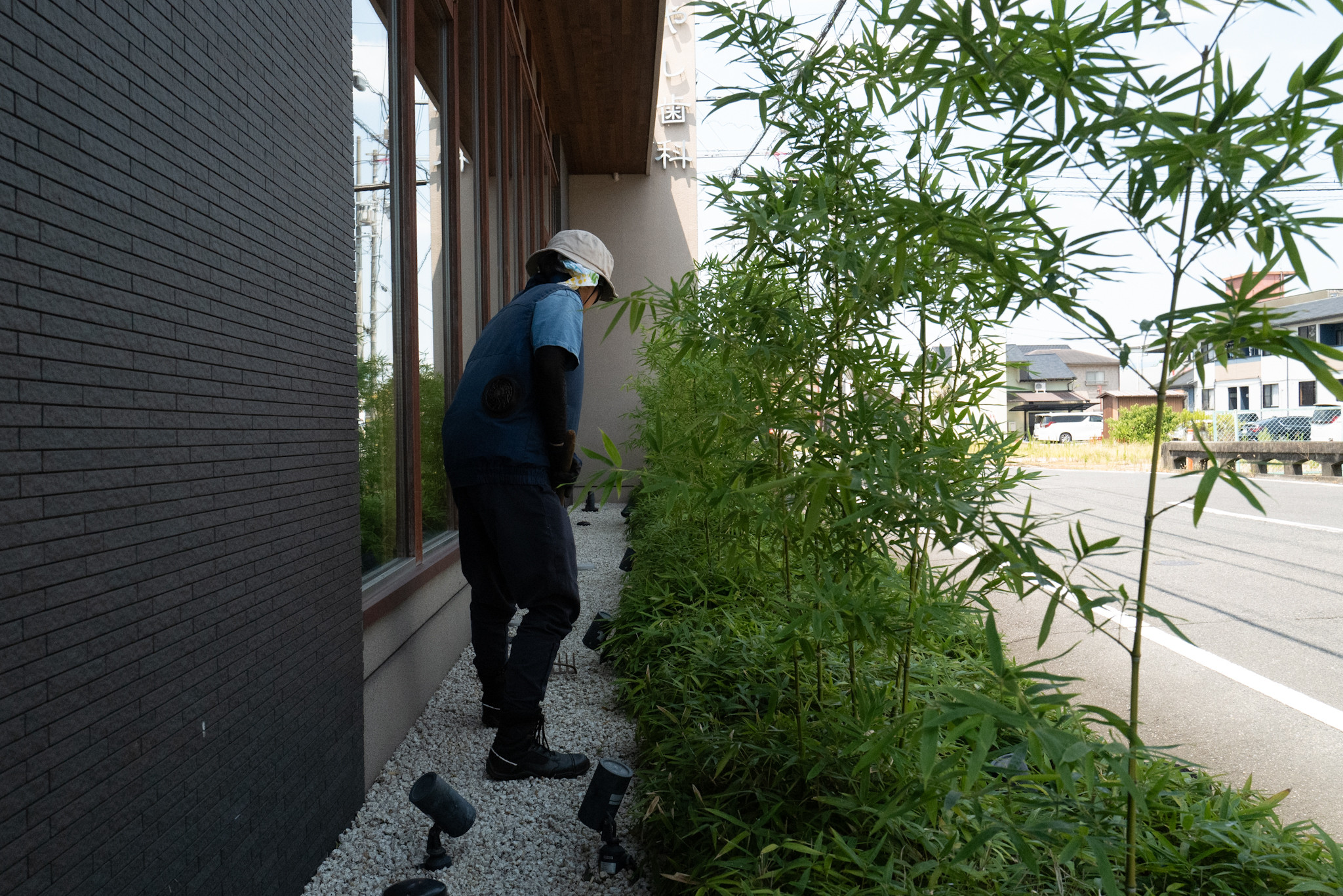 建物脇の細い通路で手取り除草を行う様子