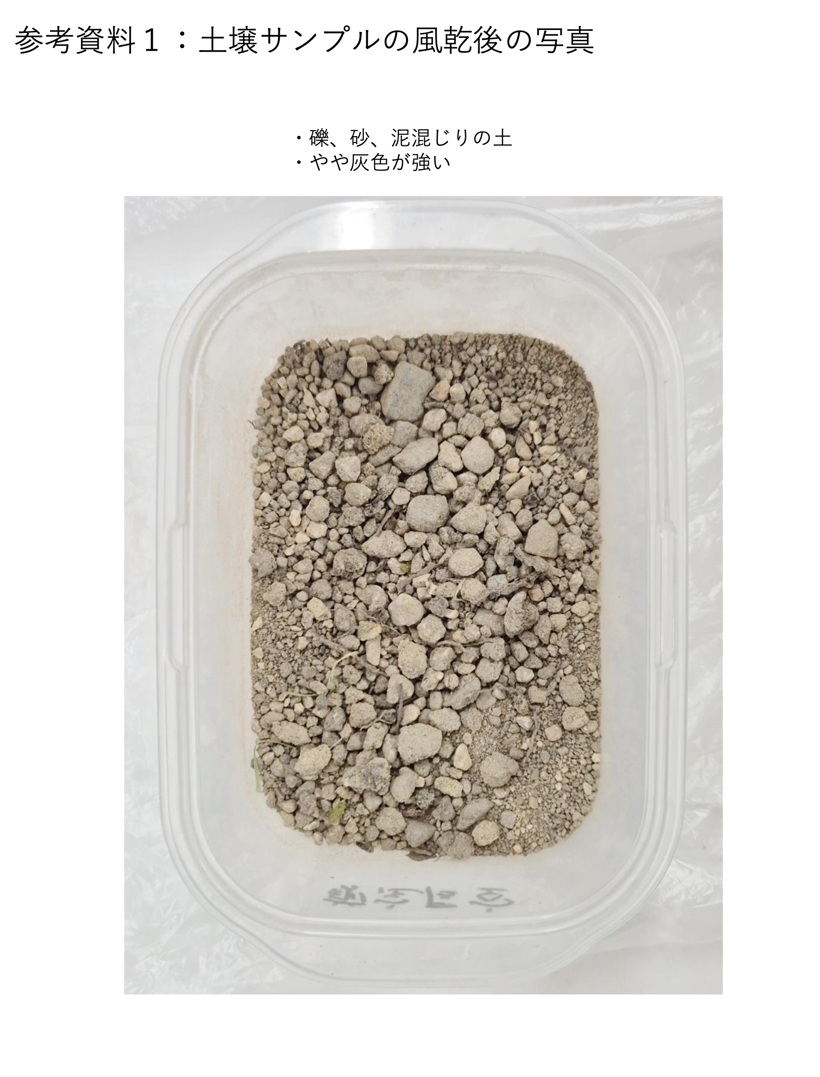 尾上別荘の土壌サンプル（風乾後）砂礫混じりの土