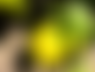 アンチウイルス+不安解消。さわやかな芳香の2月おすすめアロマ レモン