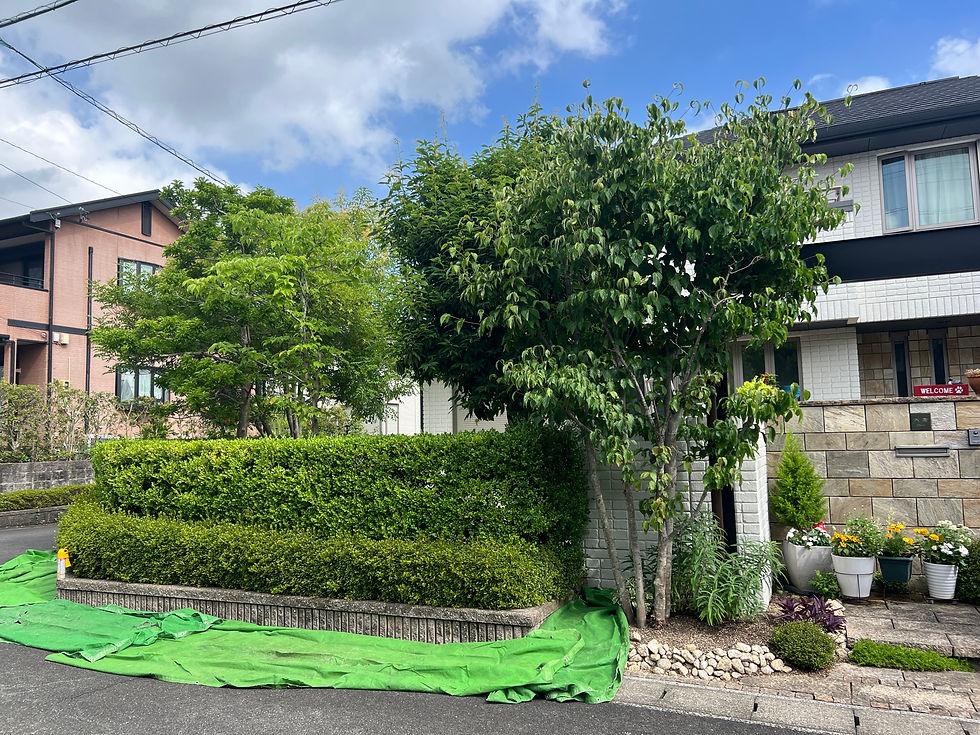 三重県四日市にてお庭手入れ作業事例_剪定屋空