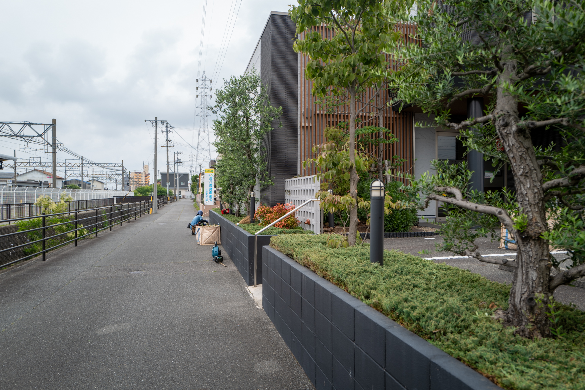 クリニック道路側植栽帯(作業前)